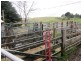 Warragul VIC 3820
