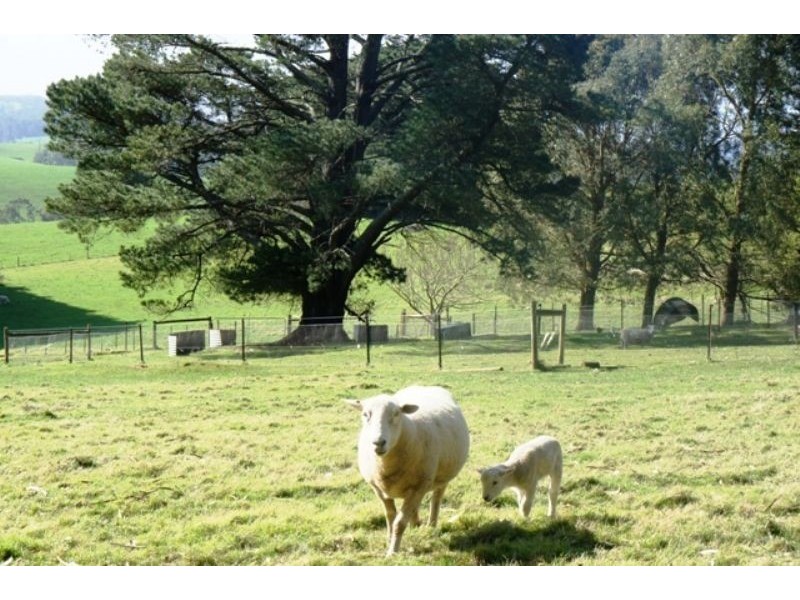 Shady Creek VIC 3821