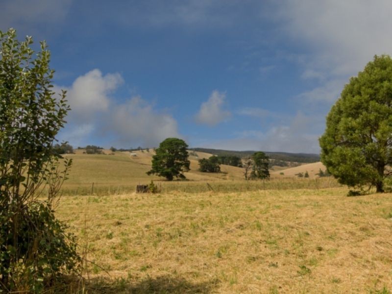 Neerim South VIC 3831