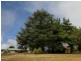 Neerim South VIC 3831