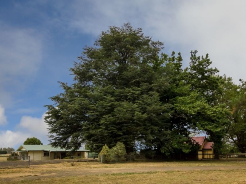 Neerim South VIC 3831