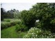 Longwarry VIC 3816