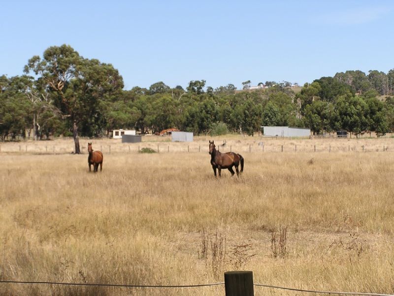 Ripplebrook VIC 3818