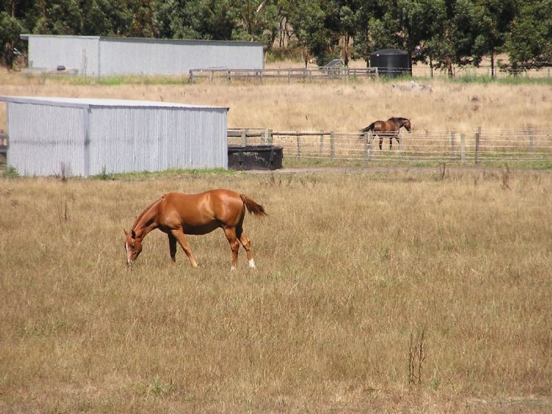 Ripplebrook VIC 3818