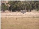 Ripplebrook VIC 3818