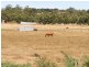 Ripplebrook VIC 3818