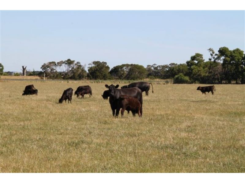 Koo Wee Rup VIC 3981