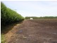 Koo Wee Rup VIC 3981