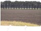 Koo Wee Rup VIC 3981