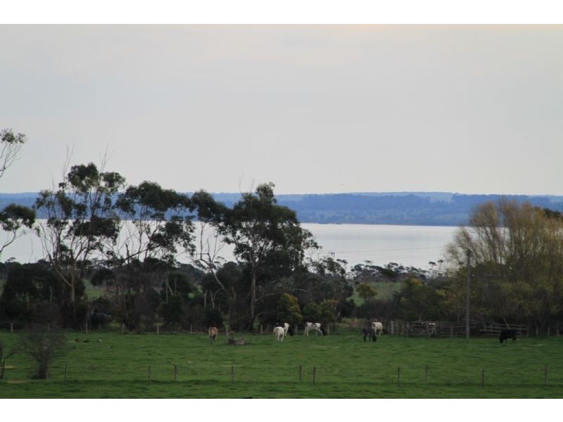 The Gurdies VIC 3984