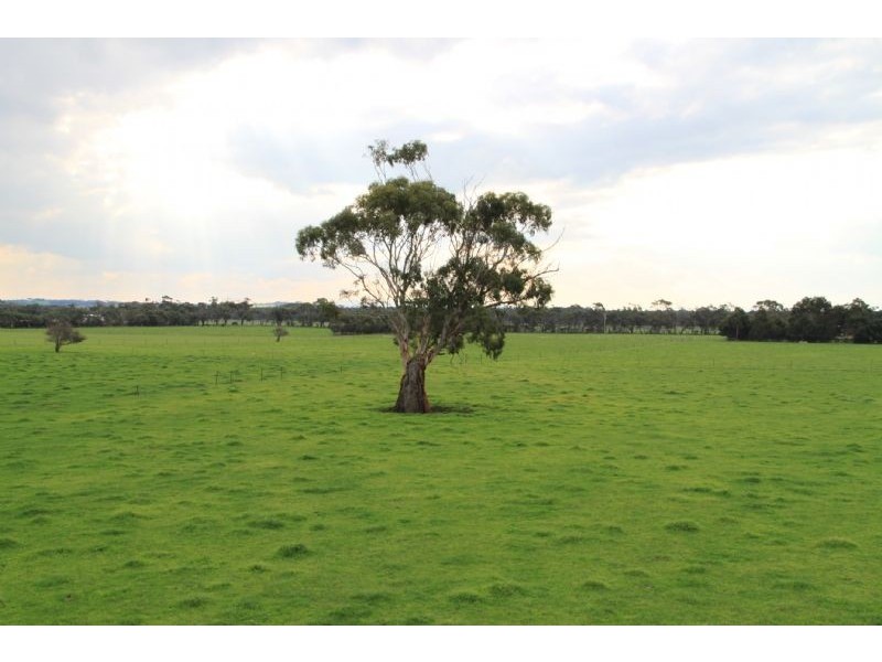 The Gurdies VIC 3984