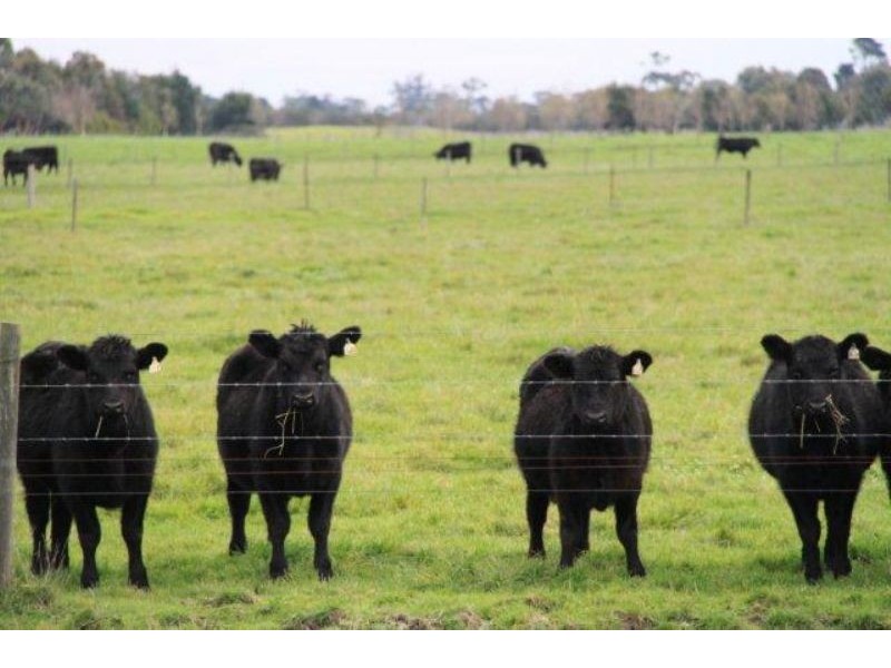 Koo Wee Rup VIC 3981