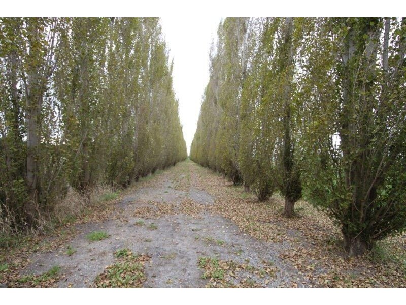 Koo Wee Rup VIC 3981