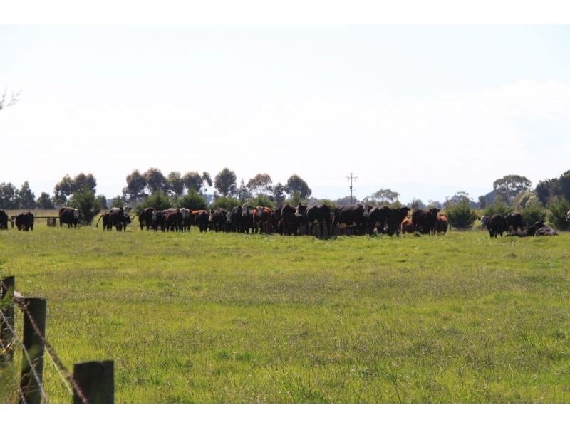 Lang Lang East VIC 3984