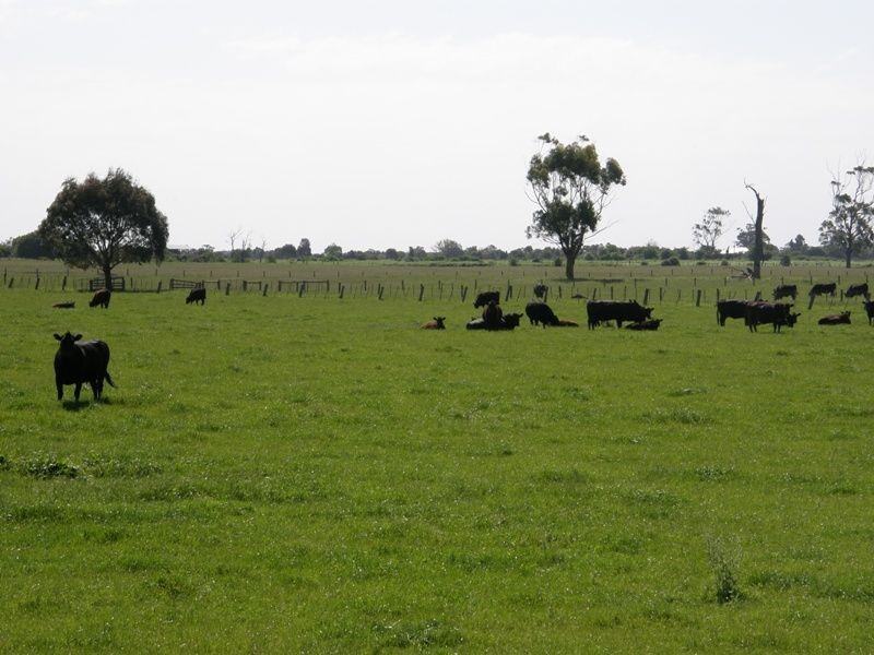 Heath Hill VIC 3981