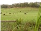 Poowong VIC 3988