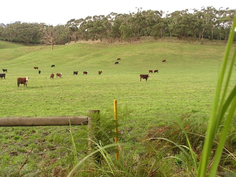 Poowong VIC 3988