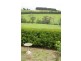 Loch VIC 3945