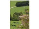 Loch VIC 3945