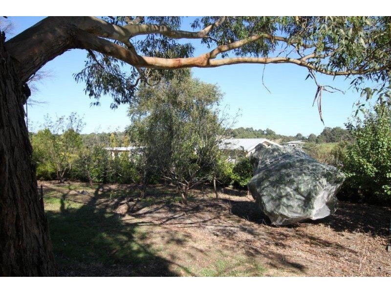 Nyora VIC 3987