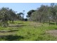 Nyora VIC 3987