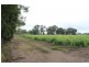 Bayles VIC 3981