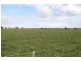 Bayles VIC 3981