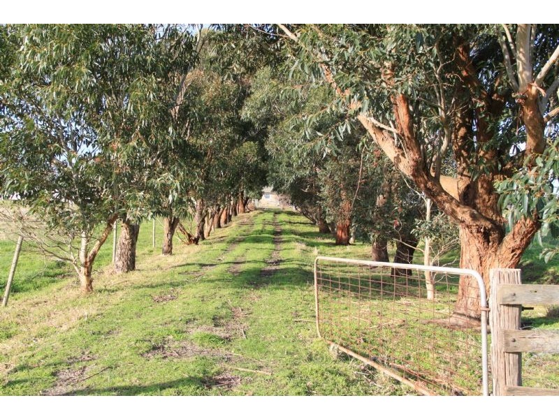 590 Boundary Drain Road, Koo Wee Rup VIC 3981