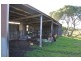 590 Boundary Drain Road, Koo Wee Rup VIC 3981