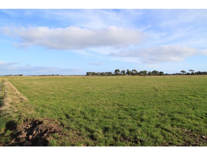 590 Boundary Drain Road, Koo Wee Rup VIC 3981