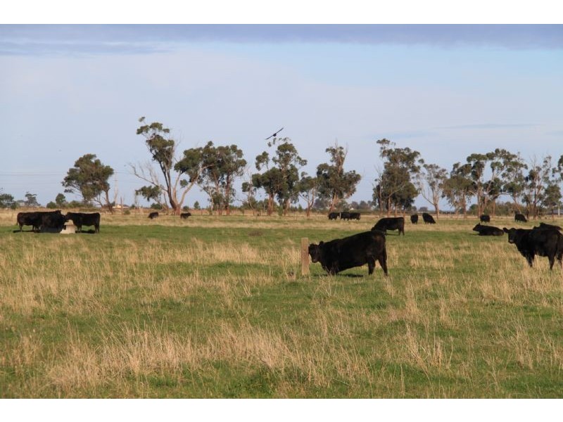 Koo Wee Rup VIC 3981