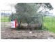 Lot 7 Hade Avenue, Bass VIC 3991