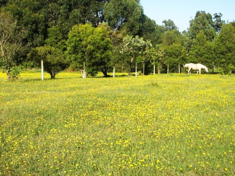 Nyora VIC 3987