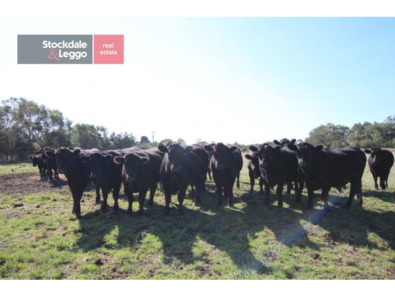 Koo Wee Rup VIC 3981