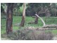 51 Island View Road, The Gurdies VIC 3984