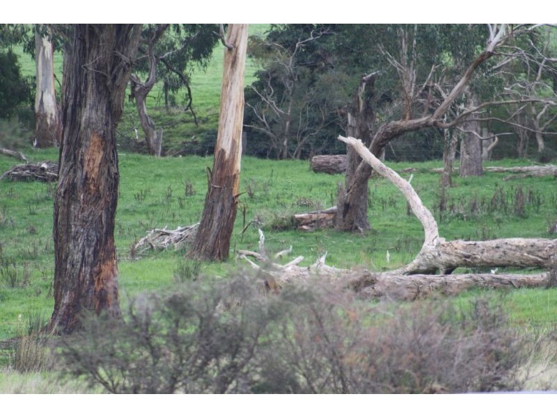 51 Island View Road, The Gurdies VIC 3984