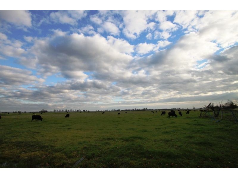 Koo Wee Rup VIC 3981