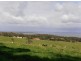 Grantville VIC 3984