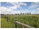 Koo Wee Rup VIC 3981