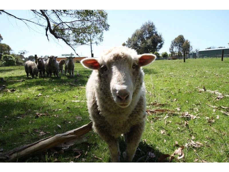 15 Suckling Road, Kernot VIC 3979