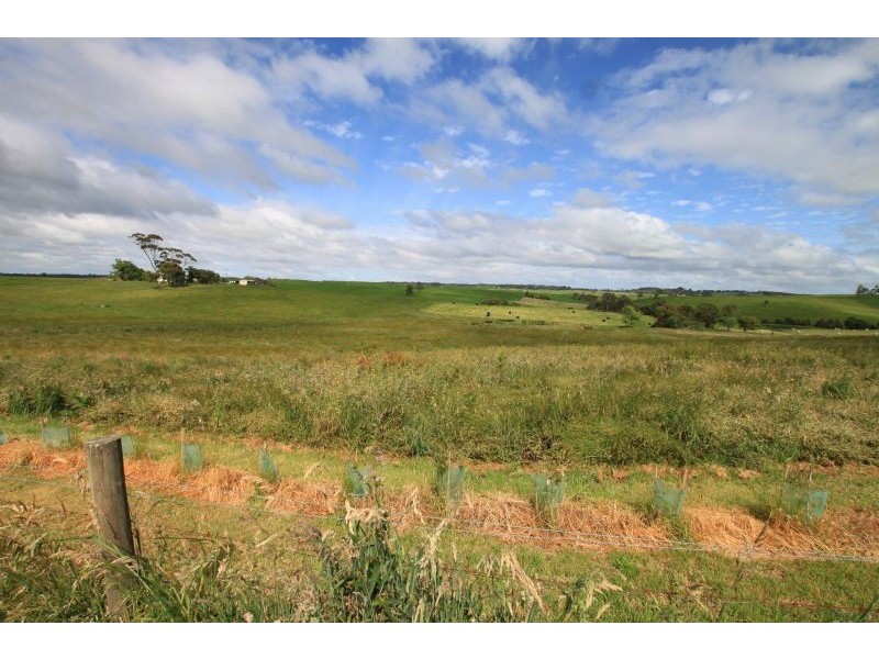850 Mt Lyall Road, Nyora VIC 3987