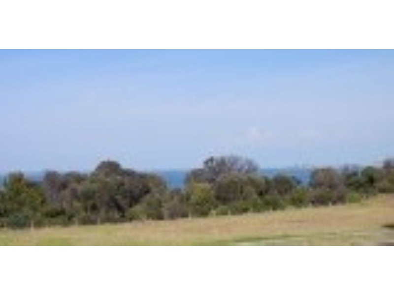 17 Burchell Close, Corinella VIC 3984