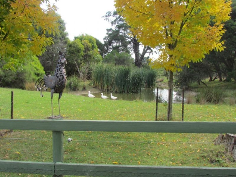 280 Berrys Road, Nyora VIC 3987