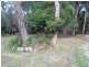91 Acacia Rd, Grantville VIC 3984