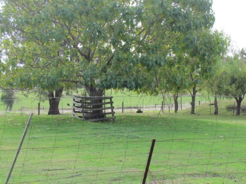 125 The Gurdies-St Helier Road, The Gurdies VIC 3984