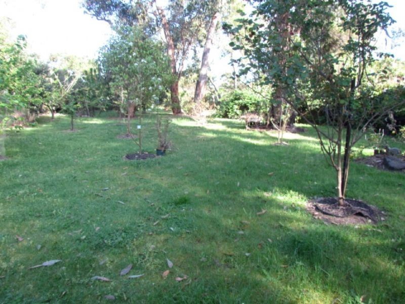 117 Bayview Avenue, Tenby Point VIC 3984