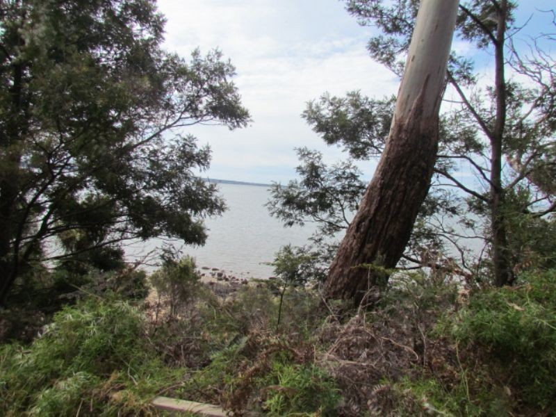 117 Bayview Avenue, Tenby Point VIC 3984