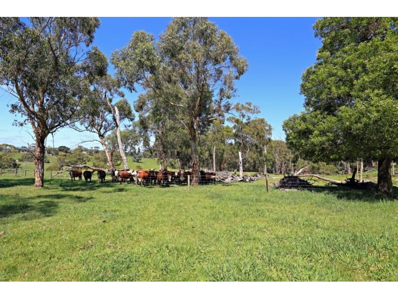 70 Dunbabbin Road, The Gurdies VIC 3984