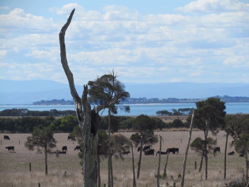 Lot 2 Llewellyn Close, Corinella VIC 3984