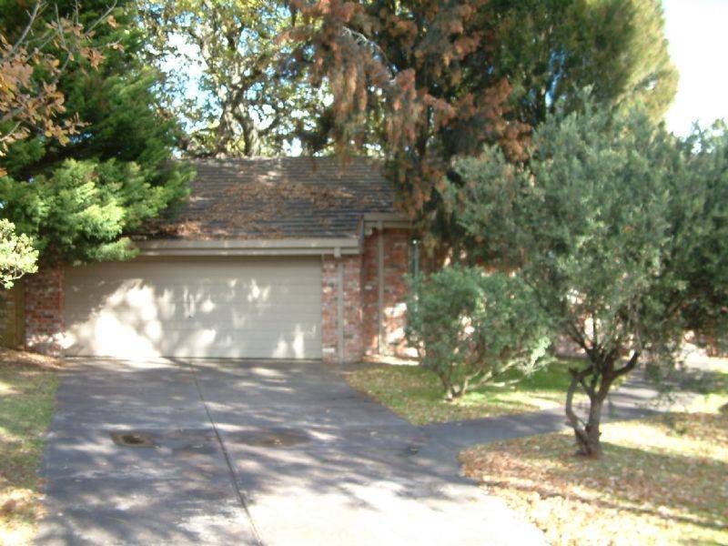 13 Earlston Square, Berwick VIC 3806